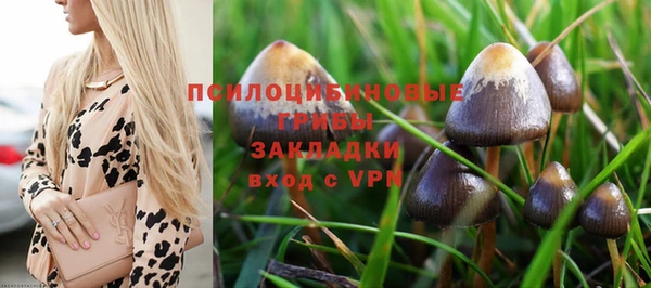 mix Алексин