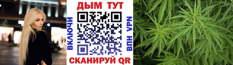 Каннабис сатива  Белоярский 